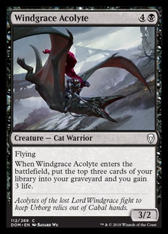 Windgrace Acolyte