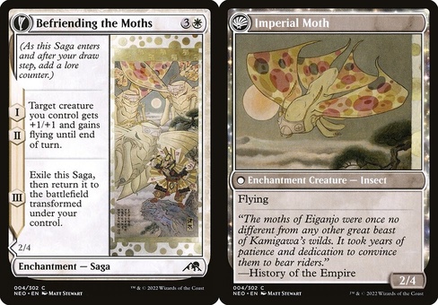 Befriending the Moths // Imperial Moth