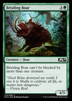 Bristling Boar