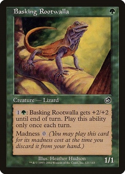 Basking Rootwalla (TOR GD)