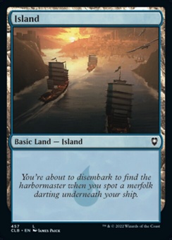 Island #457