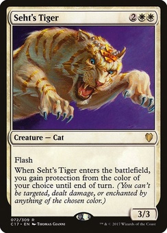 Seth's Tiger