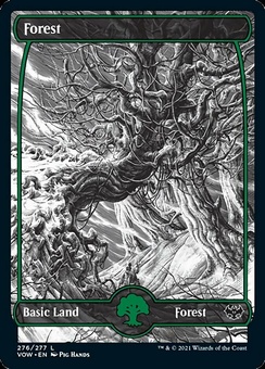 Forest #276 (fullart - foil)