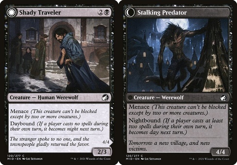 Shady Traveler // Stalking Predator