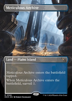 Meticulous Archive (borderless foil)