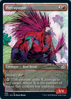 Porcuparrot (showcase foil)