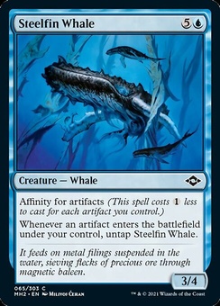 Steelfin Whale