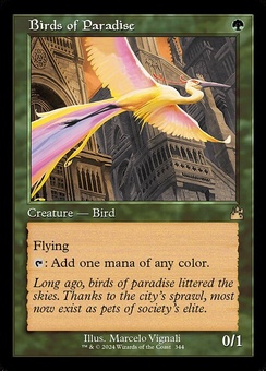 Birds of Paradise (retro)