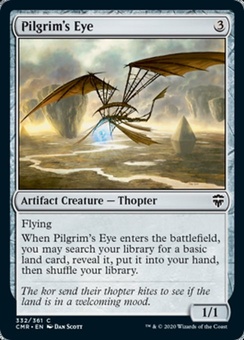 Pilgrim's Eye
