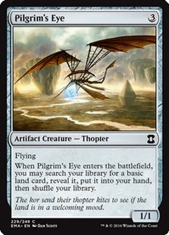Pilgrim's Eye