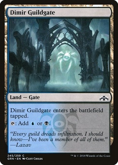 Dimir Guildgate (#245)