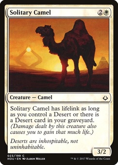 Solitary Camel