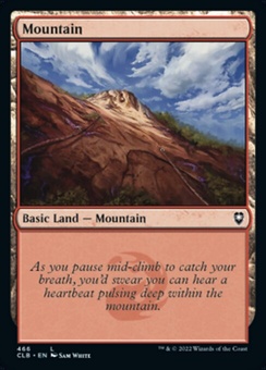 Mountain #466