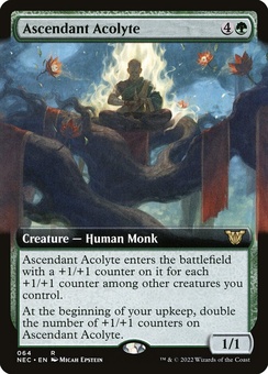 Ascendant Acolyte (extended art)