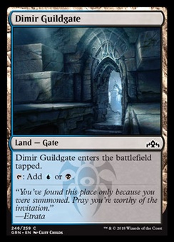 Dimir Guildgate (#246)