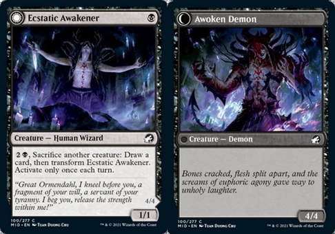 Ecstatic Awakener
