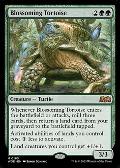 Blossoming Tortoise (foil)