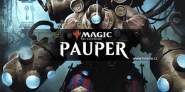 Úterní Pauper (Allcomon) v Tolarii! Foto
