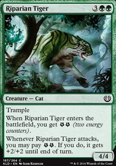 Riparian Tiger