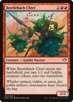 Beetleback Chief (DDN)