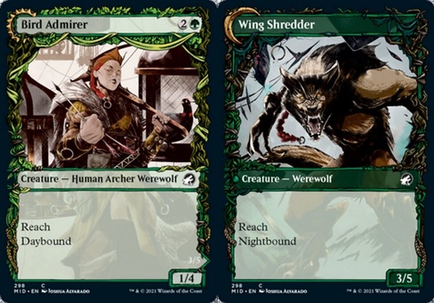 Bird Admirer (showcase)