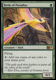 Birds of Paradise (EX)