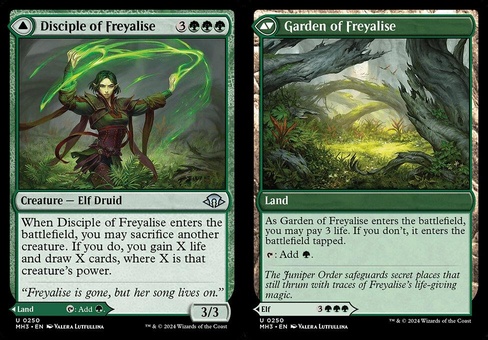 Disciple of Freyalise // Garden of Freyalise