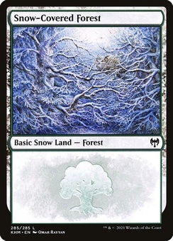 Snow-Covered Forest (#285)