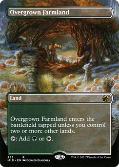 Overgrown Farmland (borderless foil)