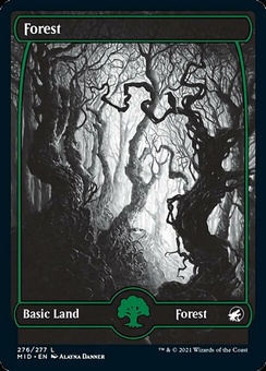 Forest #276 (fullart - foil)