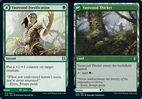 Vastwood Fortification // Vastwood Thicket