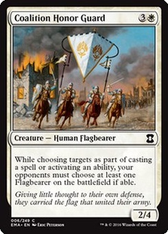 Coalition Honor Guard