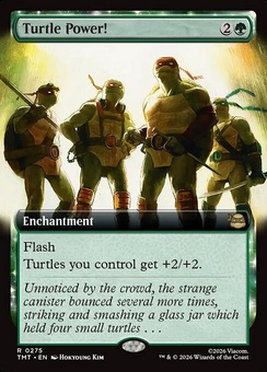 Turtle Power! (extended art)